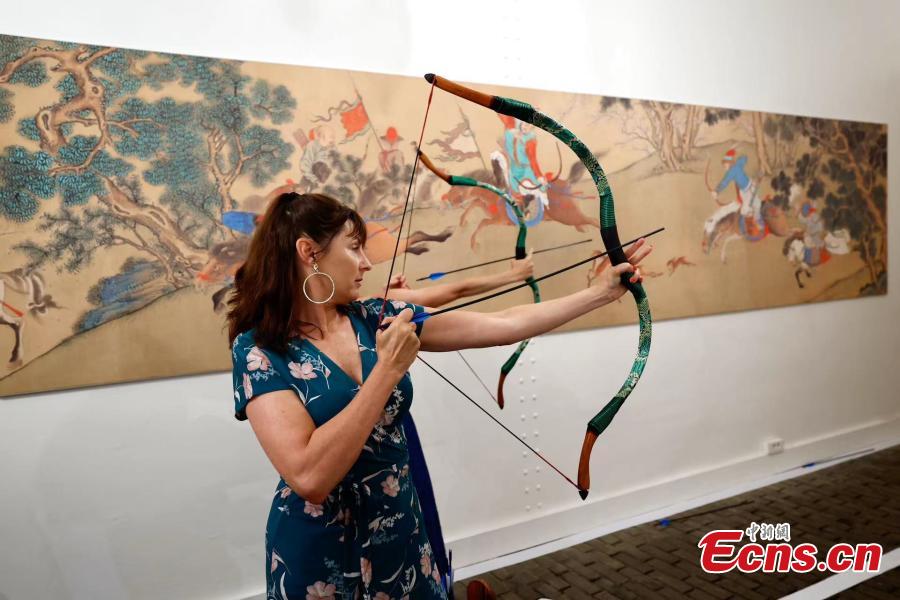体粉丝增长