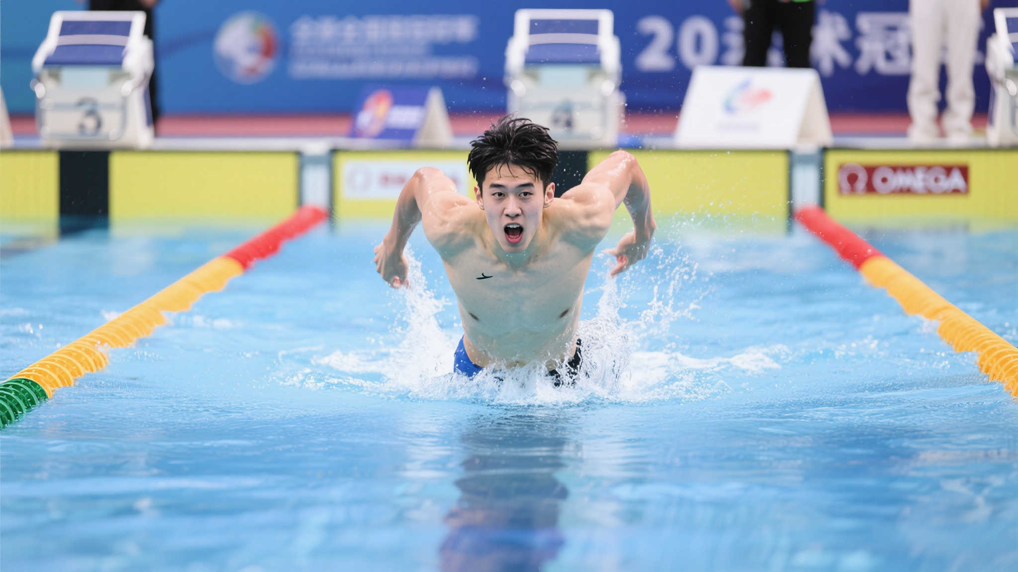 仅提高了训 仅提高了训