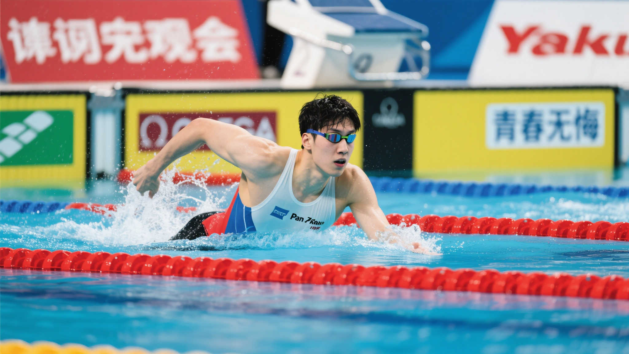 维尼修斯的 维尼修斯的